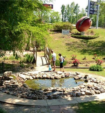 Peach Park